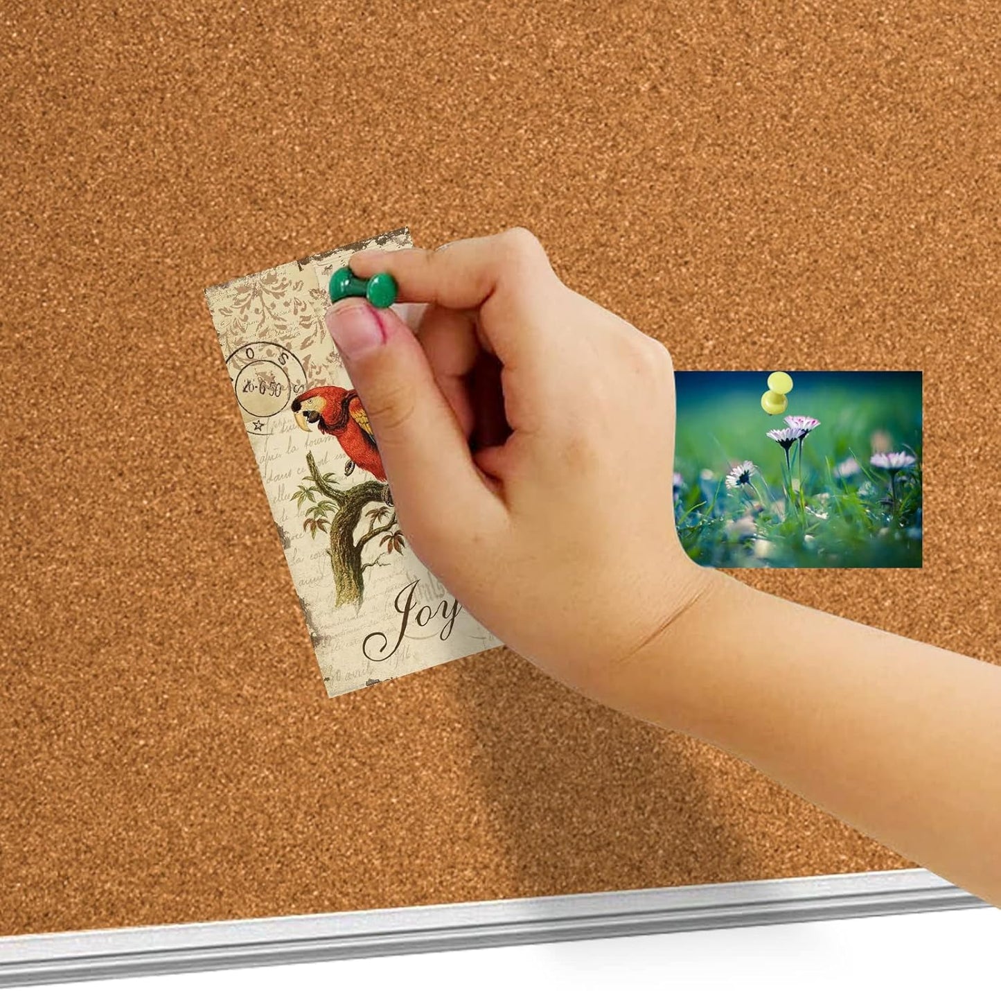 BIBOC 24 x 36 inches Cork Board, Bulletin Board,Felt Board, Pin Board, Notice Board, Memo Board for Homes or Offices, 24 X 36 Inches, Silver Aluminium Frame