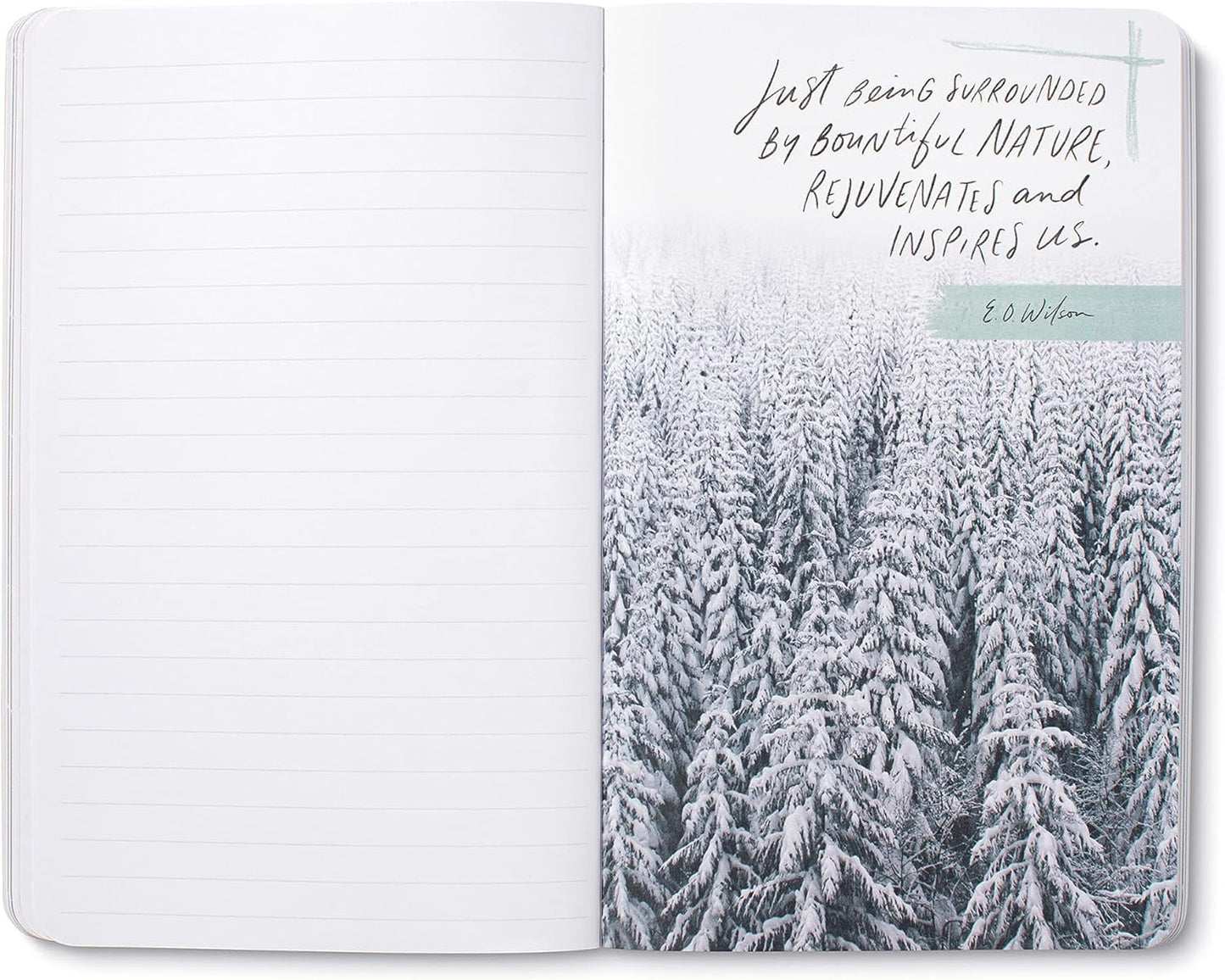 Compendium Softcover Journal - Taste the beauty of the wild. – A Write Now Journal with 128 Lined Pages, 5″W x 8″H