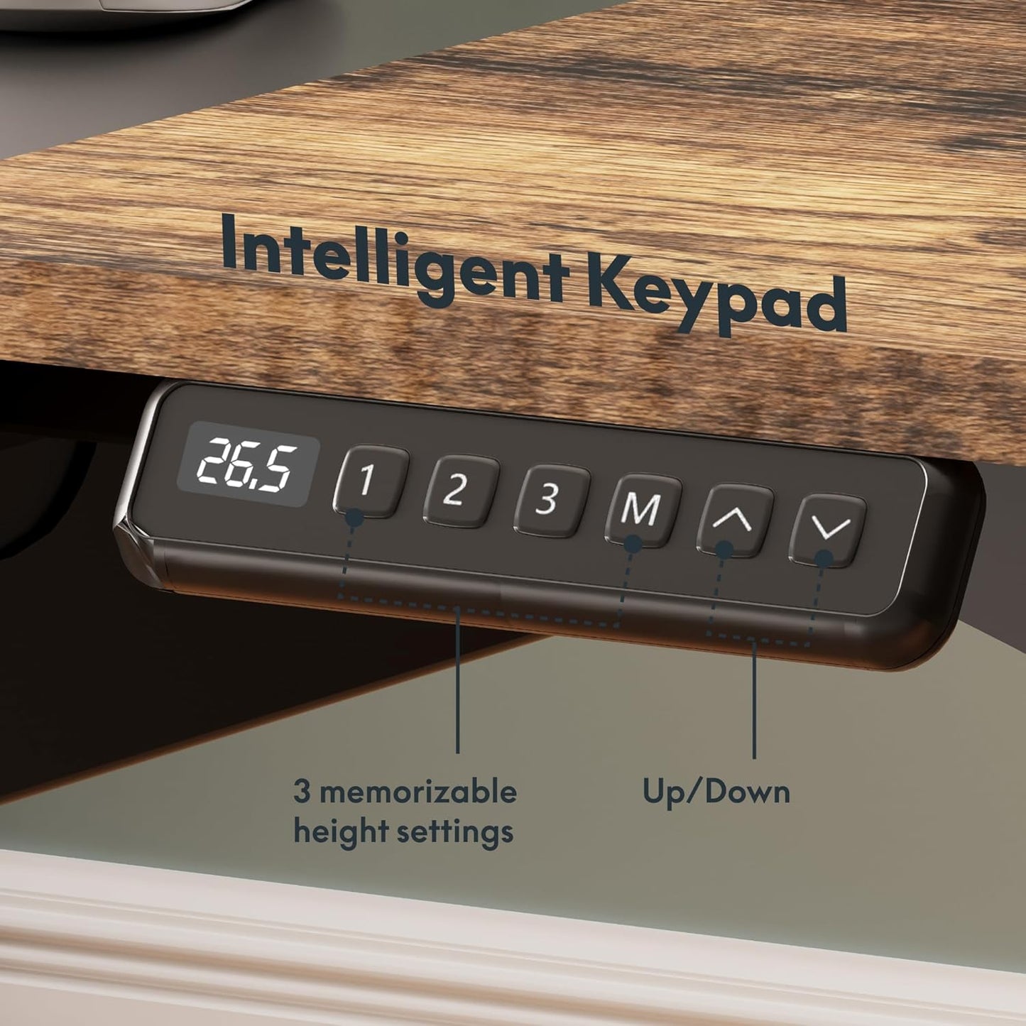 SANODESK Electric Standing Desk with Drawers, 63 x 32 inch Height Adjustable Computer Desk, Home Office Stand Up Desk with 3 Preset Heights, Black