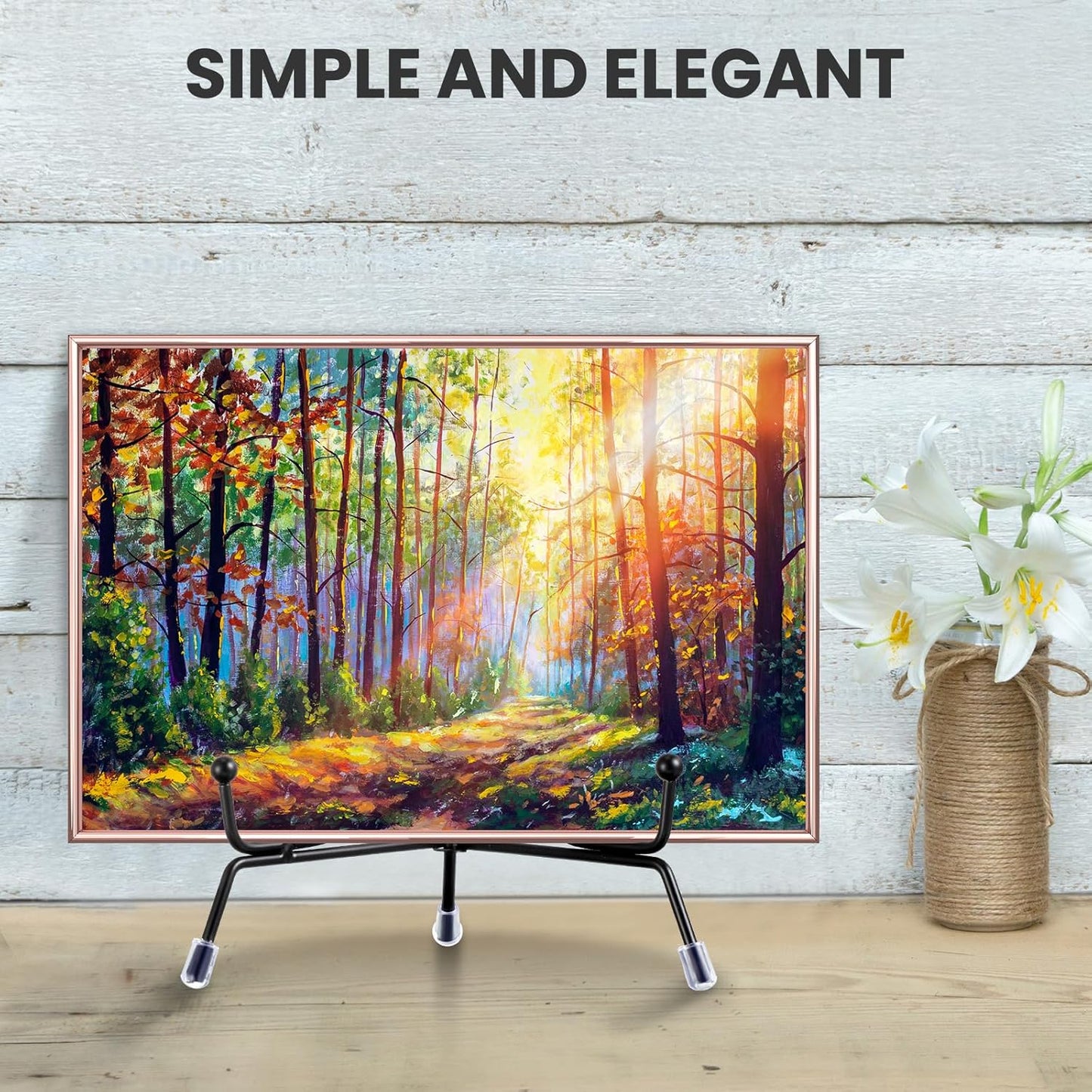 Chumia 18 Pcs Anti Slip Plate Stands for Display, Black Iron Easel Plate Holder Picture Frame Holder Stand for Display Decorative Photo Tabletop Artwork(6 Inch)