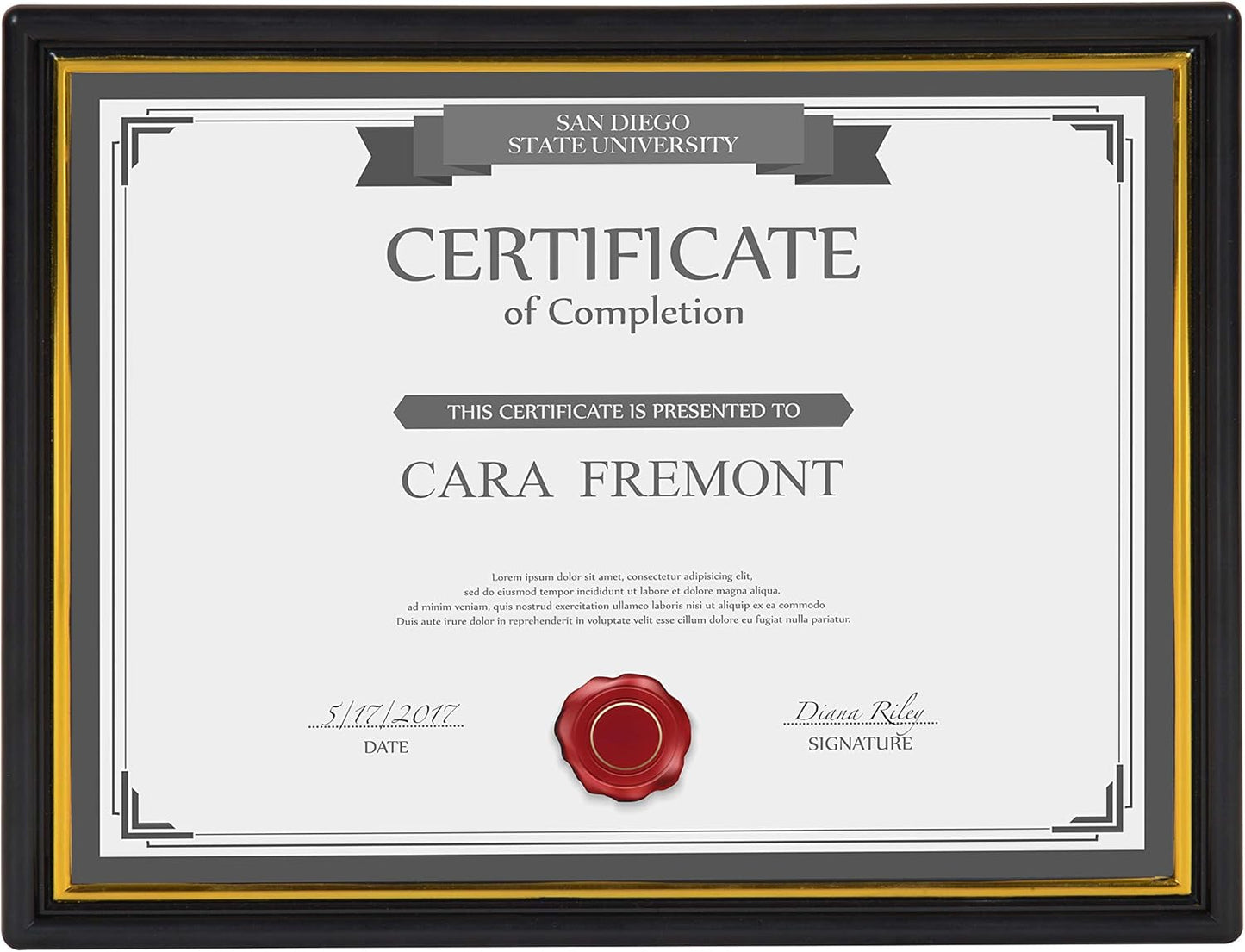 DesignOvation Corporate Document Frame Made to Display Standard Certificates, Black 8.5x11, Set of 12 Ready to Use Horizontally or Vertically