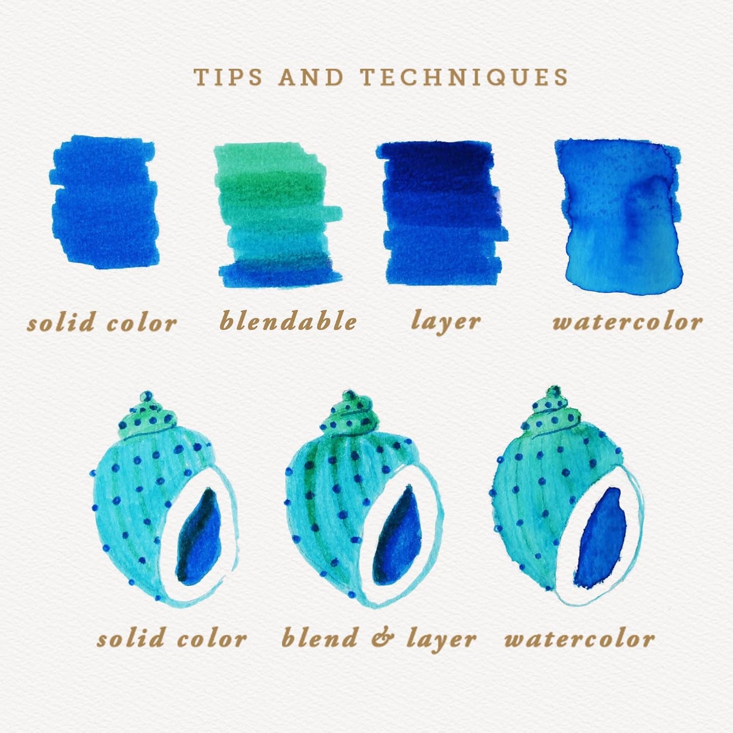 Primrosia 12 Dual Tip Watercolor Marker Pens - Fine Tip & Brush Tips, Professional Quality, 4 x Sticker Sheets, Blendable, Non-Toxic, Perfect for Calligraphy, Drawing & Coloring. (Coastal)