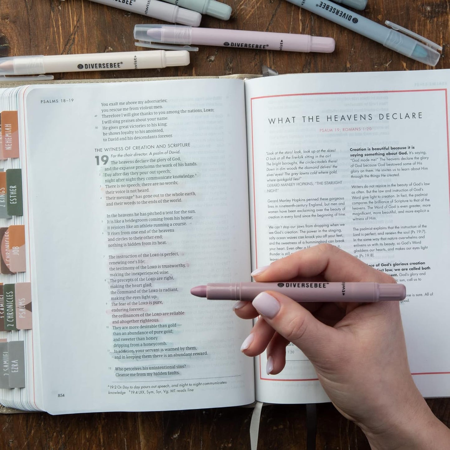 DIVERSEBEE Bible Highlighters and Pens No Bleed, 8 Pack Assorted Colors Gel Highlighters Set, Cute Bible Markers Study Journaling School Supplies and Accessories (Dusty)