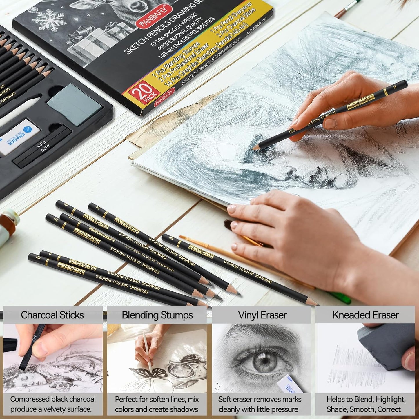 PANDAFLY 20-Piece Professional Sketch Pencil Set - Includes 4H to 14B Graphite Pencils, Charcoal Sticks, Vinyl Eraser, Kneaded Eraser, Sharpener, Blending Stump - Ideal for Artists and Beginners