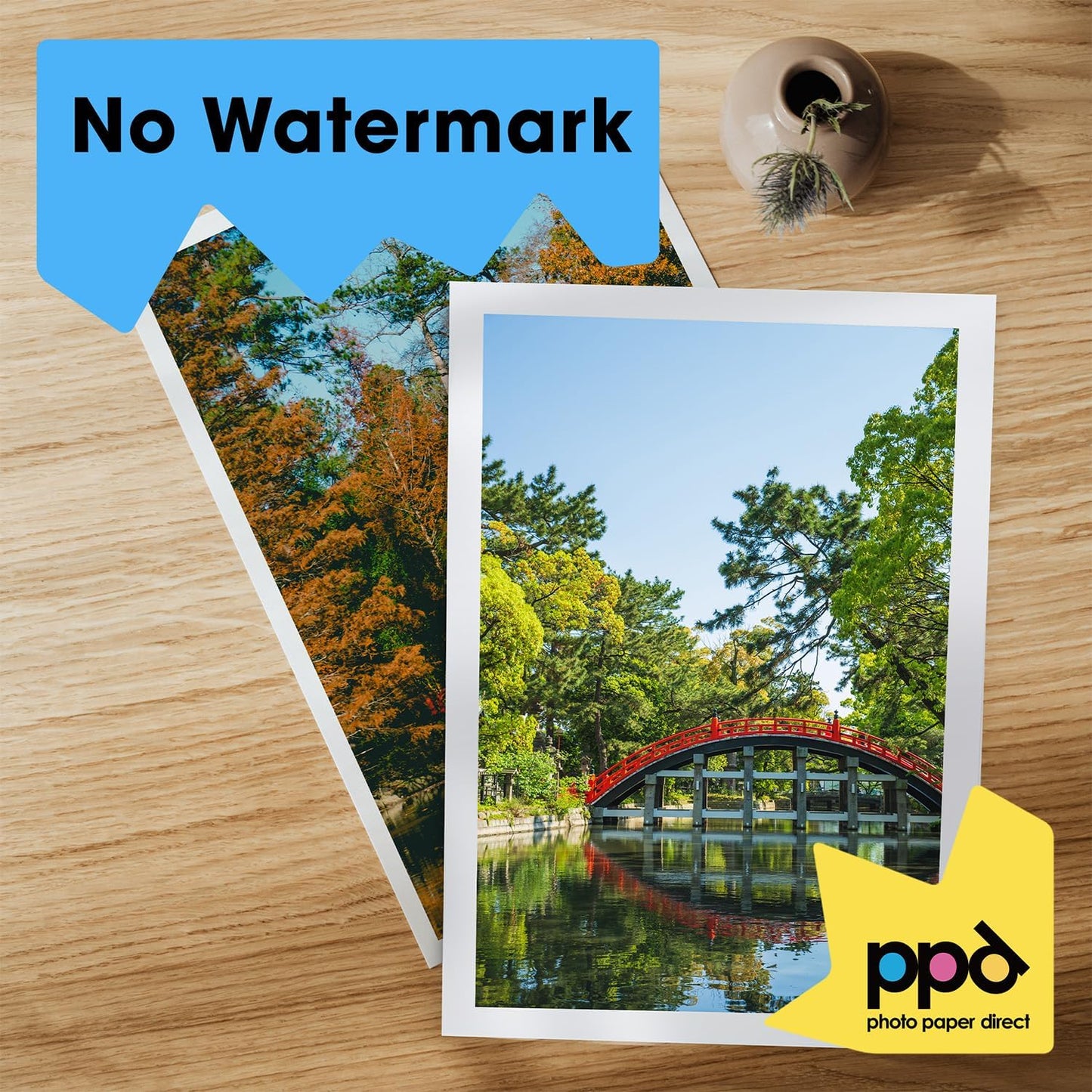 PPD 50 Sheets Inkjet Matte Double Sided Heavyweight Photo Quality Paper LTR 8.5 x 11 53lbs. 210gsm 9mil (PPD-45-50)