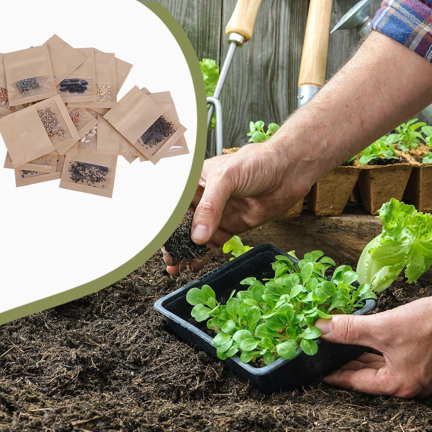 100 Pack Clear Window Small Resealable Seeds Packets Coin Envelopes 2.75x3.74 inch Brown Kraft Paper Sample Bag with Preprinted Seed Collecting Template for Seed Storage Organizer