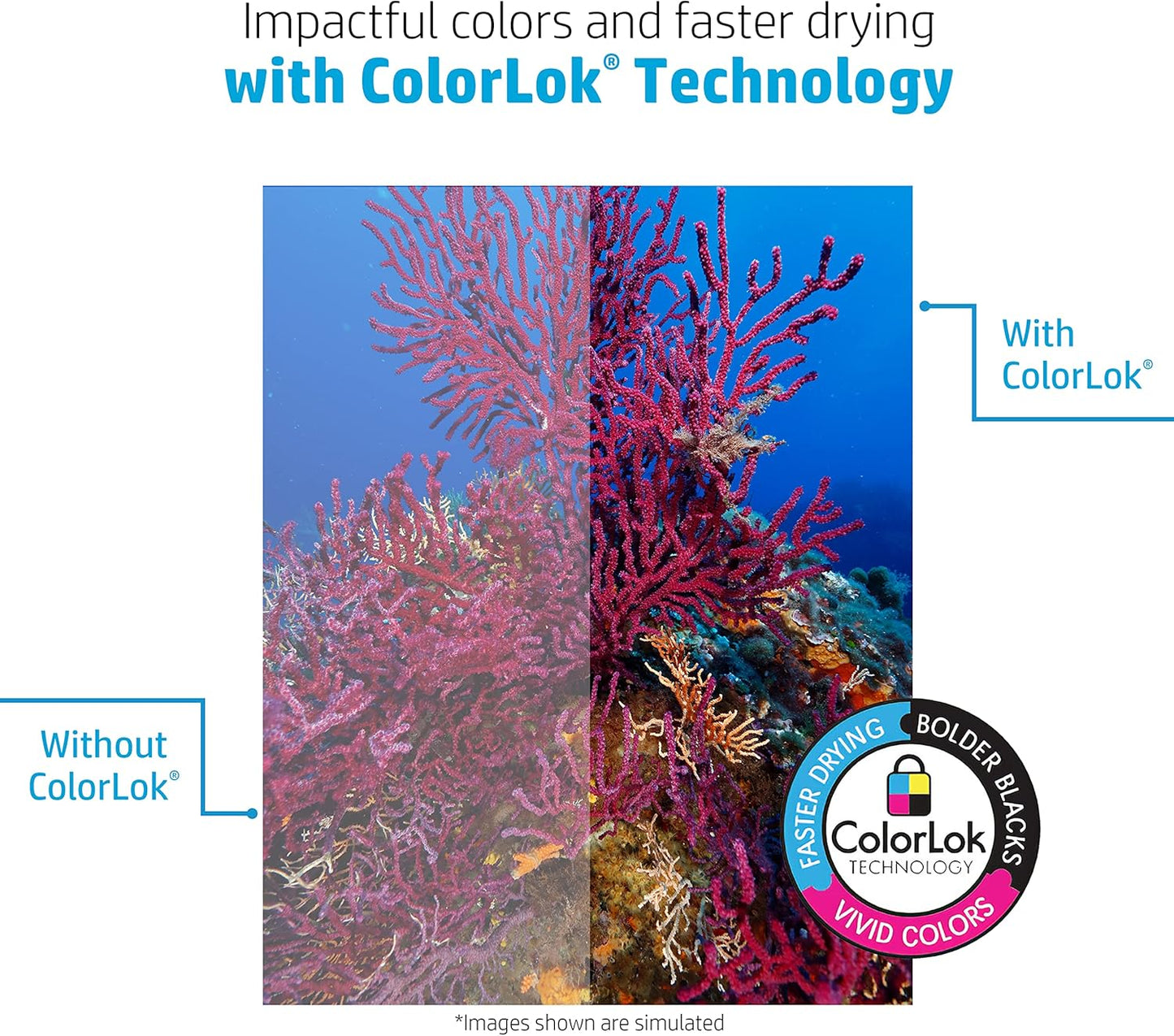 HP Printer Paper | 8.5 x 11 Paper | Office 20 lb | 3 Ream Case - 1500 Sheets | 92 Bright | Made in USA - FSC Certified | 112090C, White