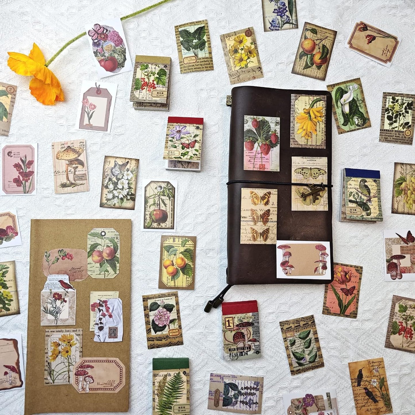 300 Pcs Scrapbook Washi Stickers,Vintage Flower Butterfly Botanical Sticker Book for Junk Journal,Decorative Paper Stickers for Bullet Journal, Album, Collage, Planner, Gift Wrapping